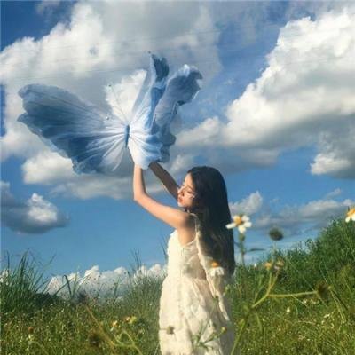 《殡之森》封面